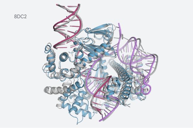 Massive Molecular Model Libraries