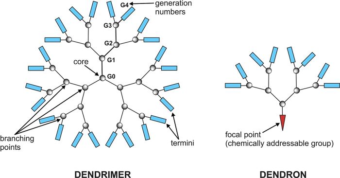 Dendrimer01.jpg